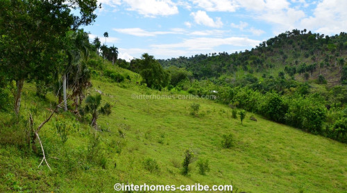 photos for SOSUA ABAJO: LOT OF CURRENTLY 32,000 M² (7.91 ACRES), VERSATILE USABLE, LOCATED CLOSE TO SOSUA