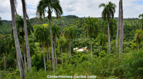 photos for SOSUA ABAJO: LOTS FROM 1,500 M² (16,146 ft²) AND LARGER, LOCATED CLOSE TO SOSUA