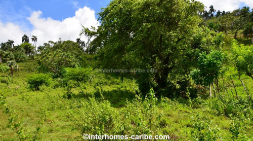 photos for SOSUA ABAJO: LOTS FROM 1,500 M² (16,146 ft²) AND LARGER, LOCATED CLOSE TO SOSUA