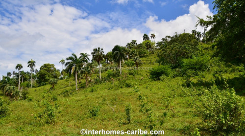 photos for SOSUA ABAJO: LOTS FROM 1,500 M² (16,146 ft²) AND LARGER, LOCATED CLOSE TO SOSUA